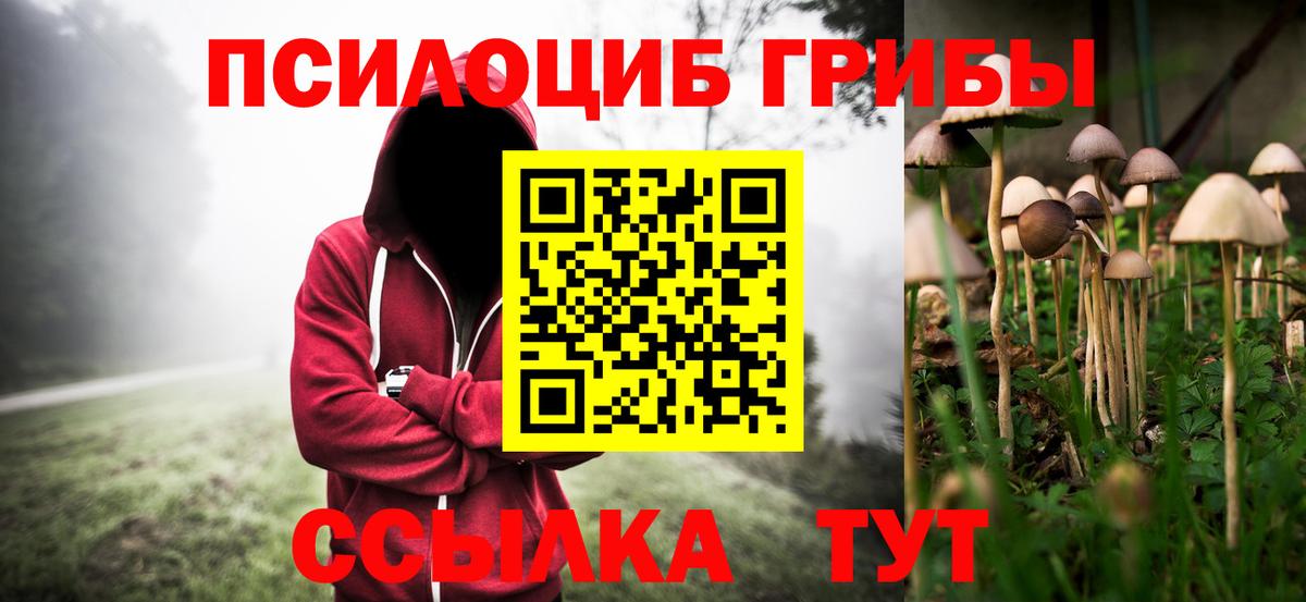 Галлюциногенные грибы мицелий Королёв